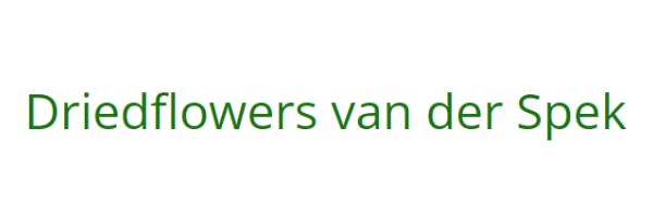 DriedFlowers Van der Spek 