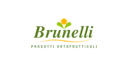 BRUNELLI GROUP