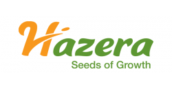 Hazera