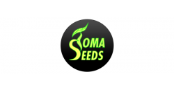 TOMA SEEDS Tomasz Marasik