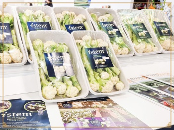 iStem Cauliflower od Syngenta Polska