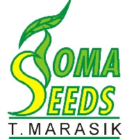 TOMA SEEDS Tomasz Marasik